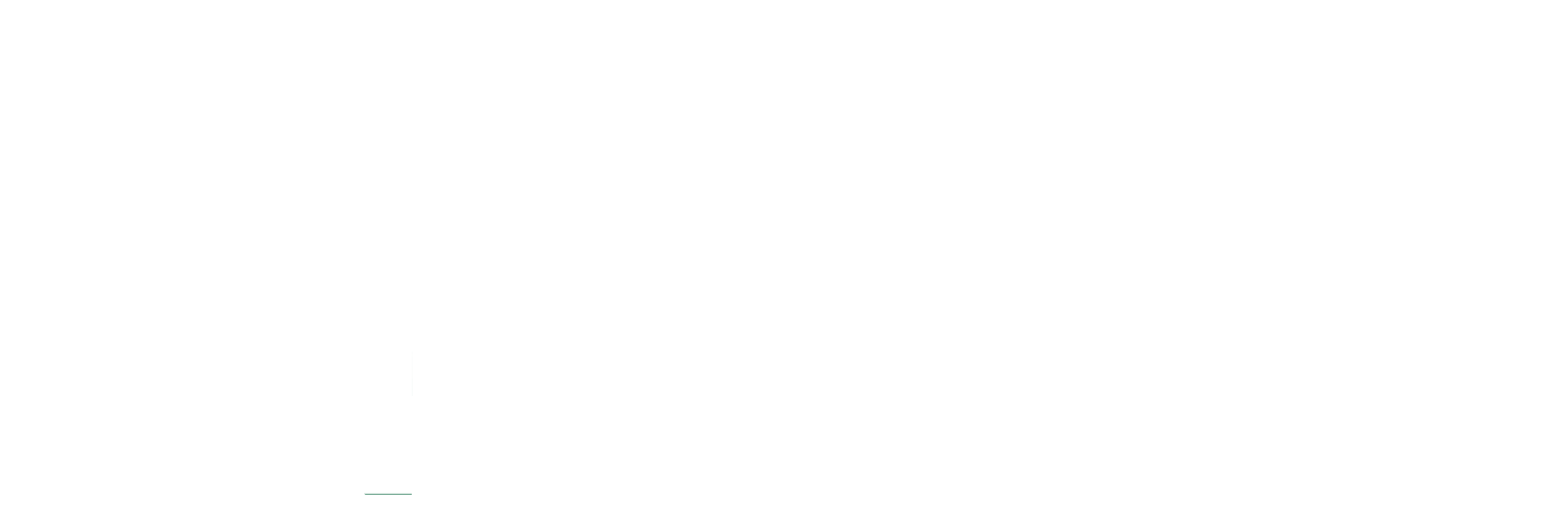 logoWHITE